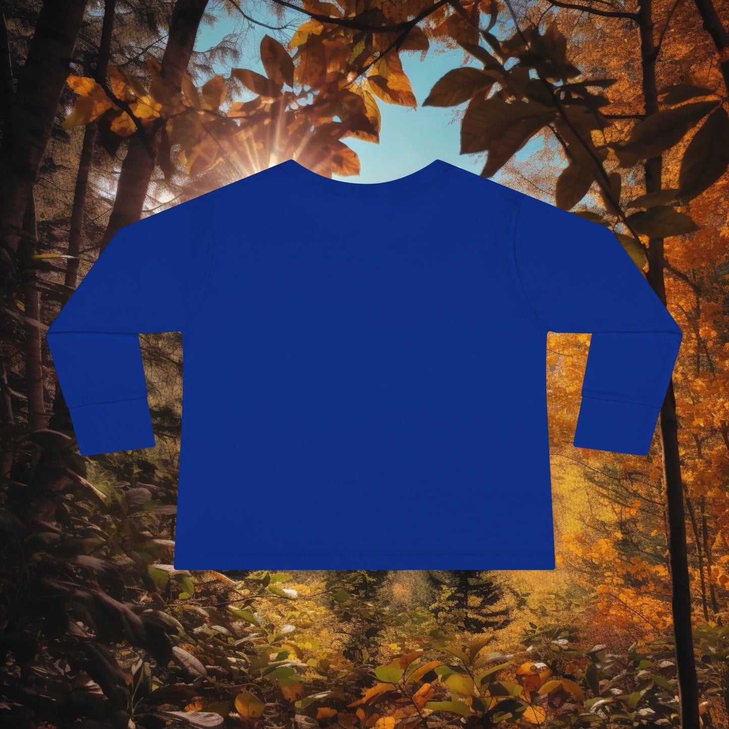 Boys autumn 2T-6T Long Sleeve