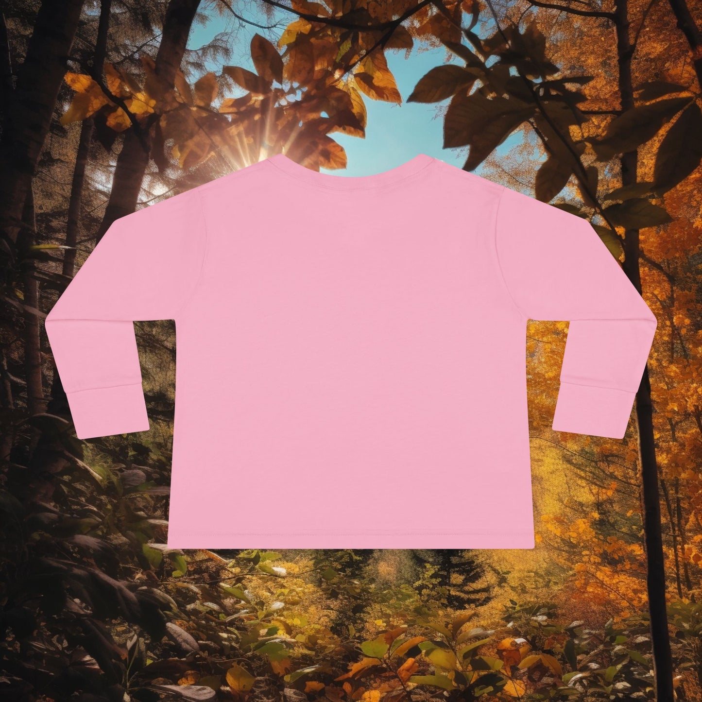 Boys autumn 2T-6T Long Sleeve