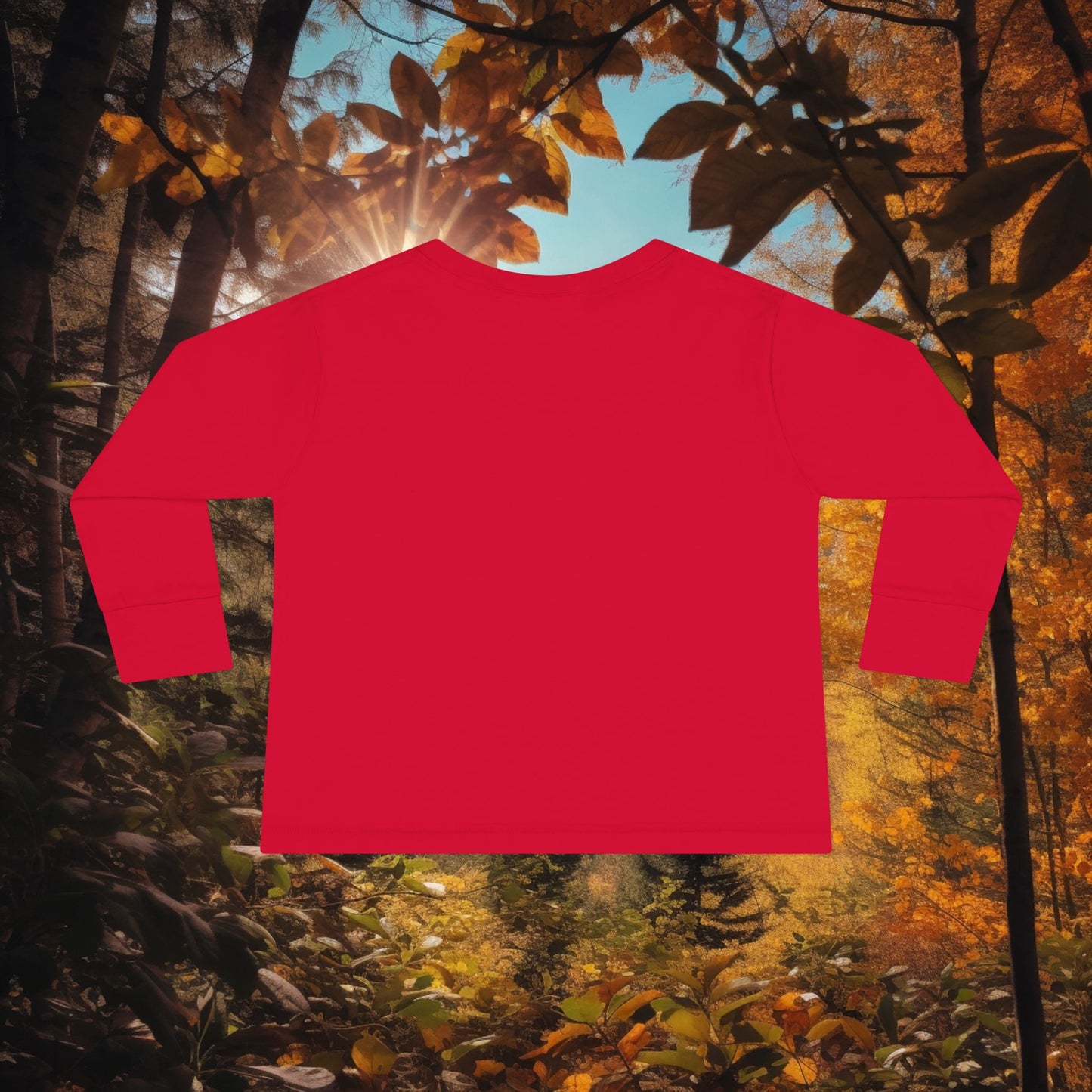 Boys autumn 2T-6T Long Sleeve